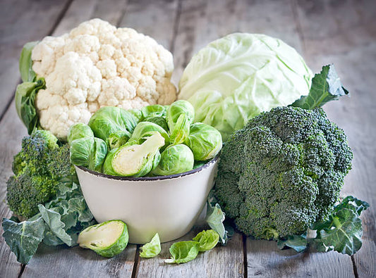 Planting Brassicas in New Zealand Winter Vegetable Gardens
