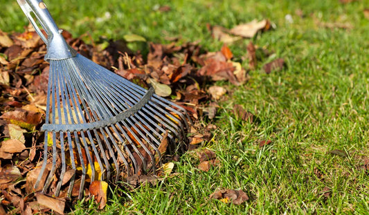 Winter Garden Cleanup: Pruning, Weeding, and Mulching